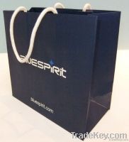 Paper bag, gift bag , shopping bag