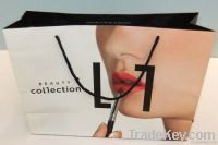 Paper bag, gift bag , shopping bag