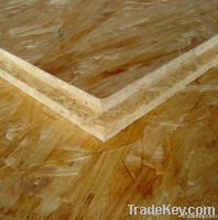 Oriented Strand Board