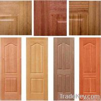 Door skin panel