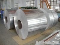 aluminum coil/roll