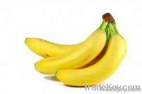 Organic Bananas