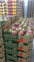 Mangos (Kent)