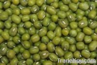 Mung beans