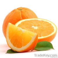 Mandarin(Kinnow)