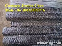 hexagonal lobster trap mesh