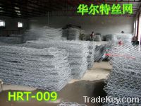 gabion mesh