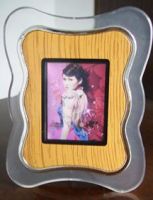 Digital Picture Frames