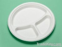 Paper Party Plates