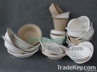 Bagasse Fruit Bowl