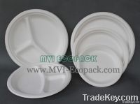 Bagasse Fast Food Plate