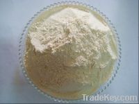 white fungus powder / tremella powder