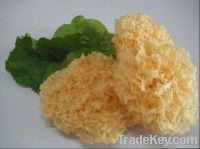 Dried tremella, white fungus