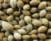 Coriander Seeds