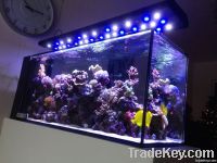 led aquarium light