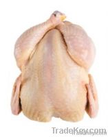 FROZEN HALAL WHOLE CHICKEN