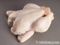 Halal Frozen Chicken