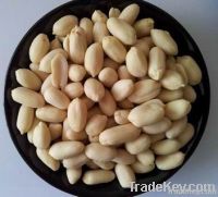 Roasted Peanuts red skin