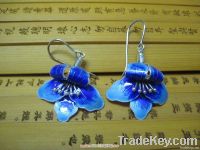 hotselling fashion earring