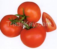 Vegetable And Fruit Seeds