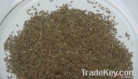 cumin seeds, anil seeds, corianda seeds