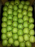 Fresh Red/Green apples, Royal Gala, Granny Smith, Golden Delicious, Pink Lady Exporters, growers