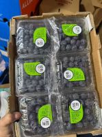 Bluebery South Africa 125g Fresh Blueberries 2025 Blueberies Air Freight Muscat, UAE, Noord Holland