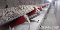 Underground Conveyor
