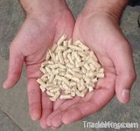 Wood Pellets Price