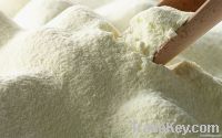 Dried Skimmed milk powder