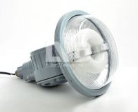 explosion proof light