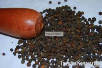 Black Pepper Corn Seed