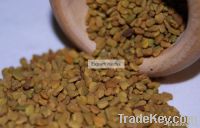 Fenugreek Seed