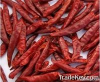 Dried Red Chilli