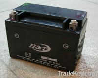 AGM Battery YTZ14S