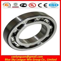 Deep Groove Ball Bearing  6244