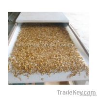 Natural Bird And Fish Food Mealworm