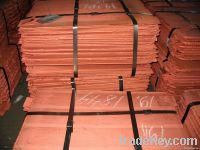 Copper Cathode seller