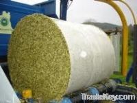 corn silage