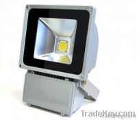 LED FLOOD LIGHT