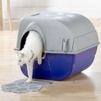 Cat Litter Box