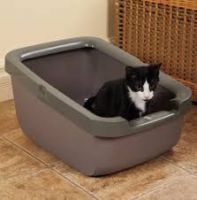 Cat Litter Pan