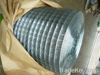 Welded Wire Mesh