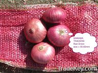 Nasik Red Onion