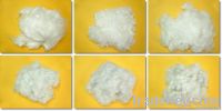 Polyester Fiber