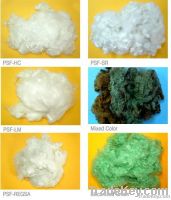 Polyester Fiber