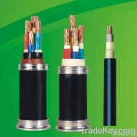 Power Cable