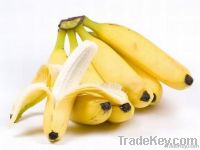 Banano OrgÃ�Â¡nico