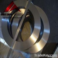 Titanium Forging Ring