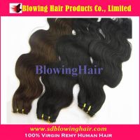 Human Hair Extensions (Factory Wholesale)